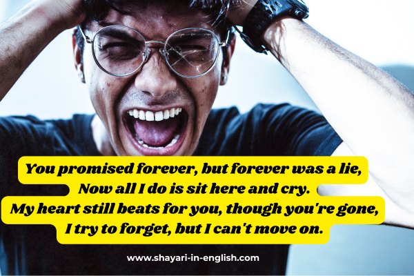 No 36 Heart broken shayari in English