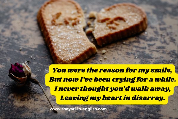 No 41 Heart broken shayri in english