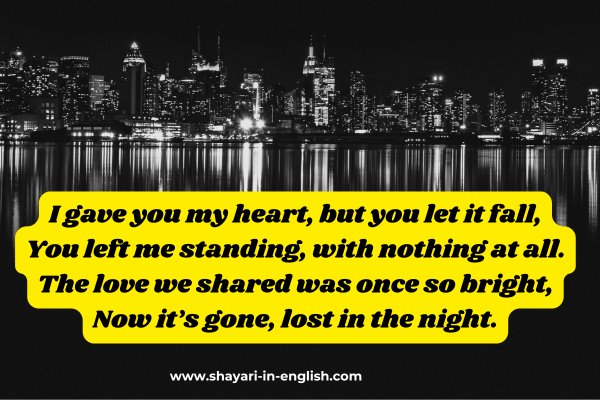 No 46 Heart broken shayari in English