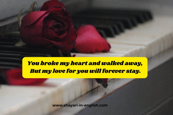 No 5 Heart broken shayari in english