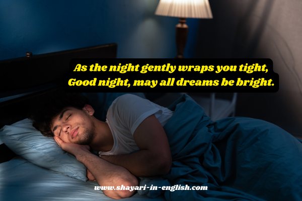 2 Line Good Night Shayari in English no 18