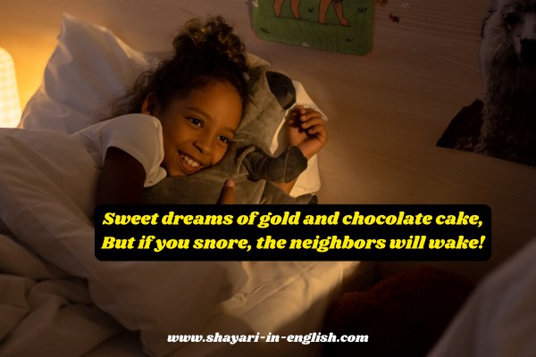 Good Night Shayari in English Funny no 9