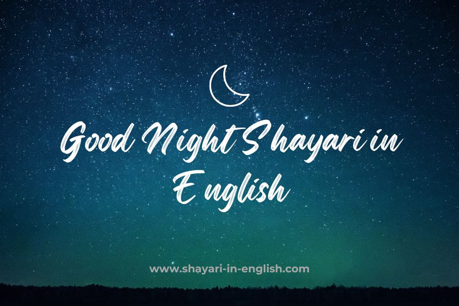 Good Night Shayari in English