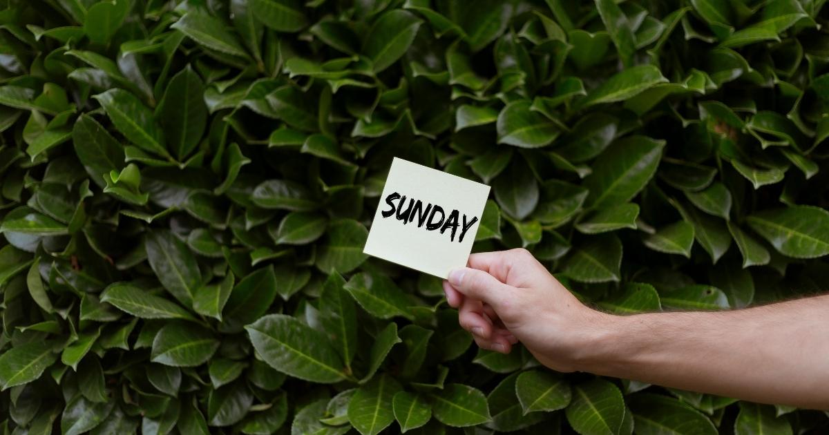 cute happy sunday quotes
