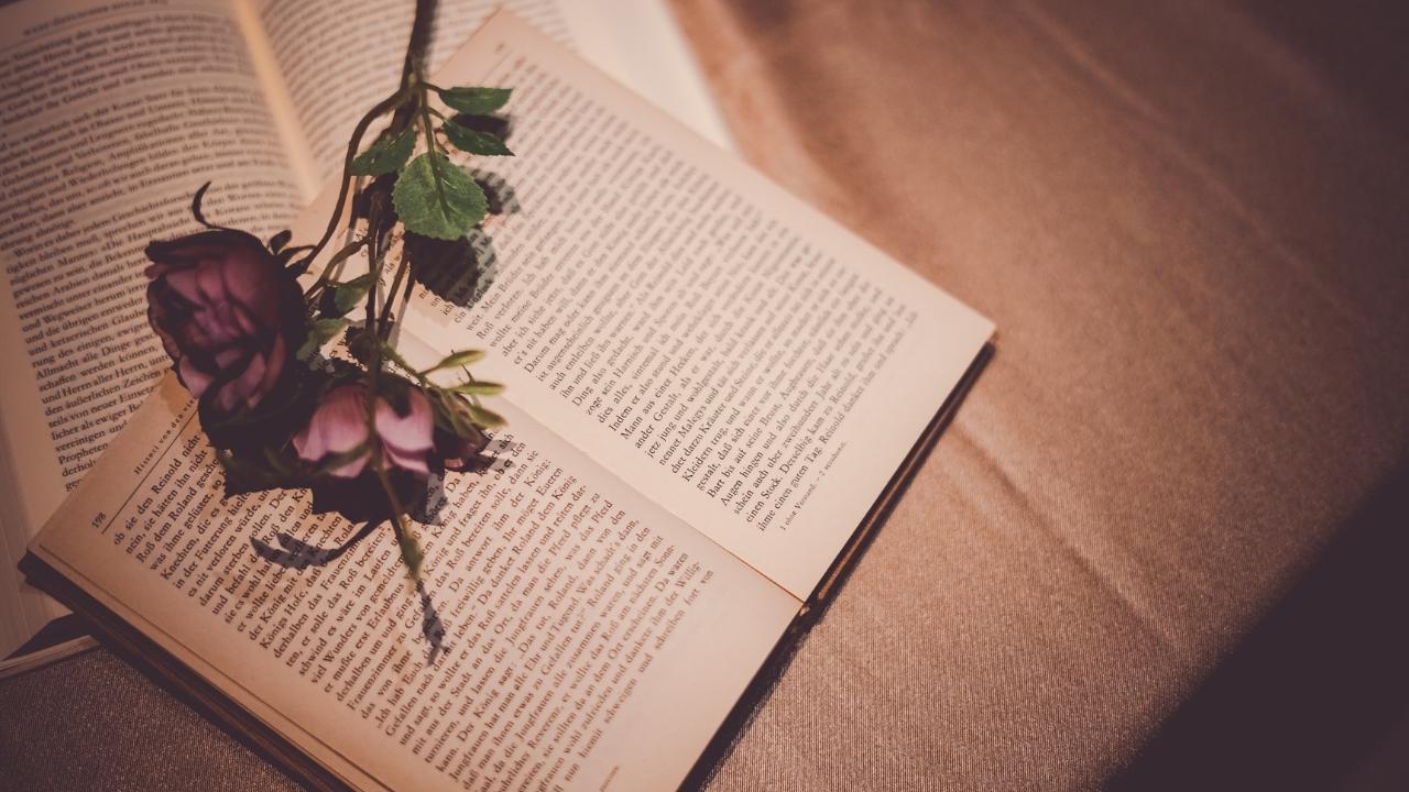 Books quotes in english