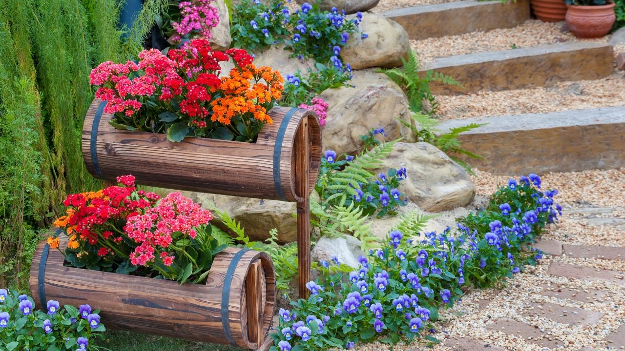 rose love shayari in english