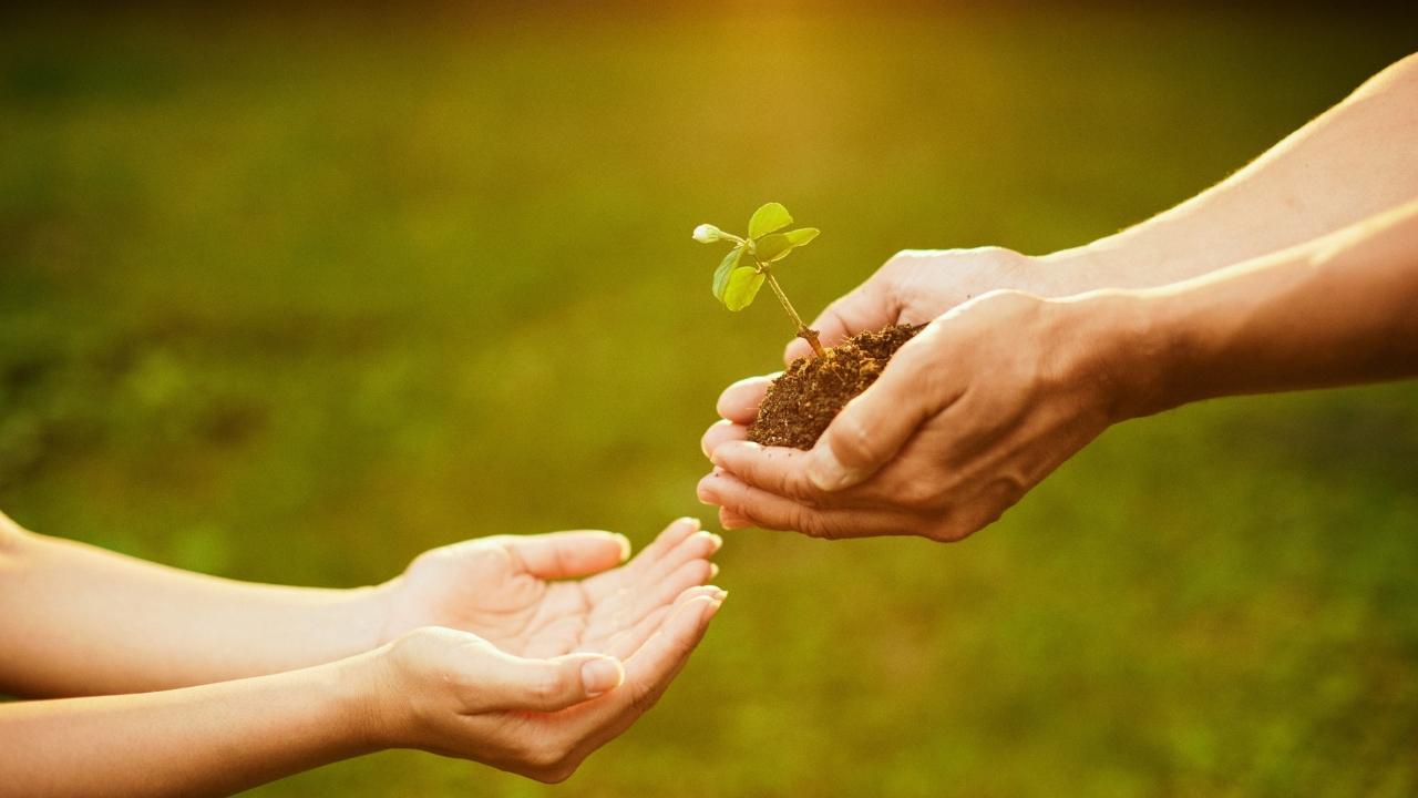 shayari of life in hindi