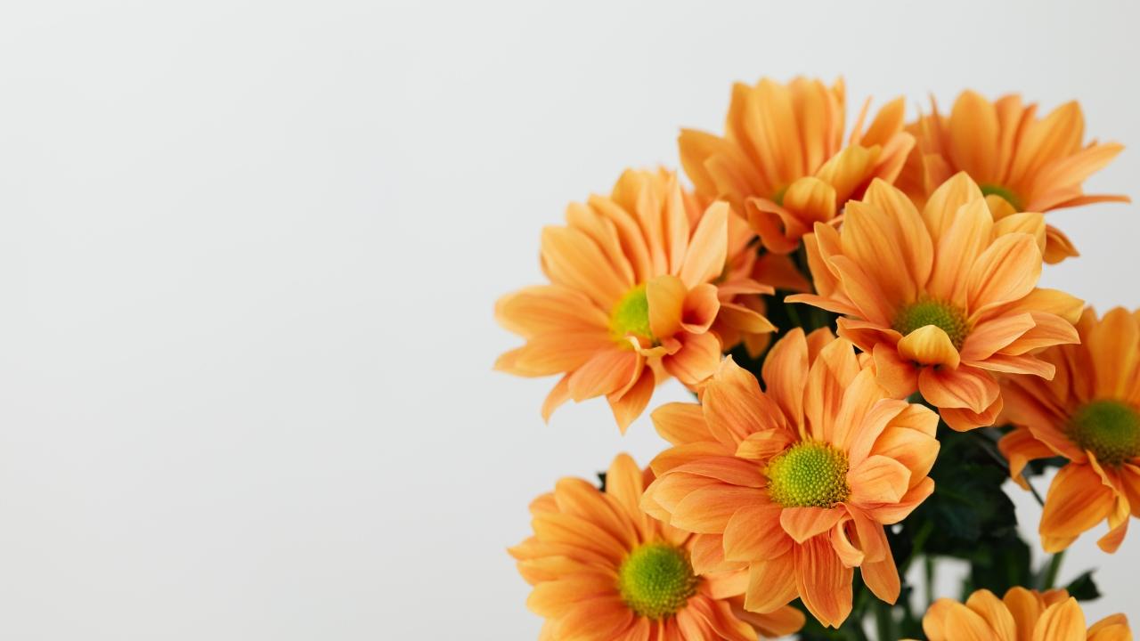 Salasar Balaji captions for instagram