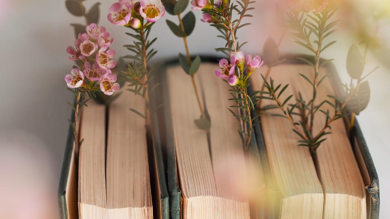 urdu shayar ki shayari