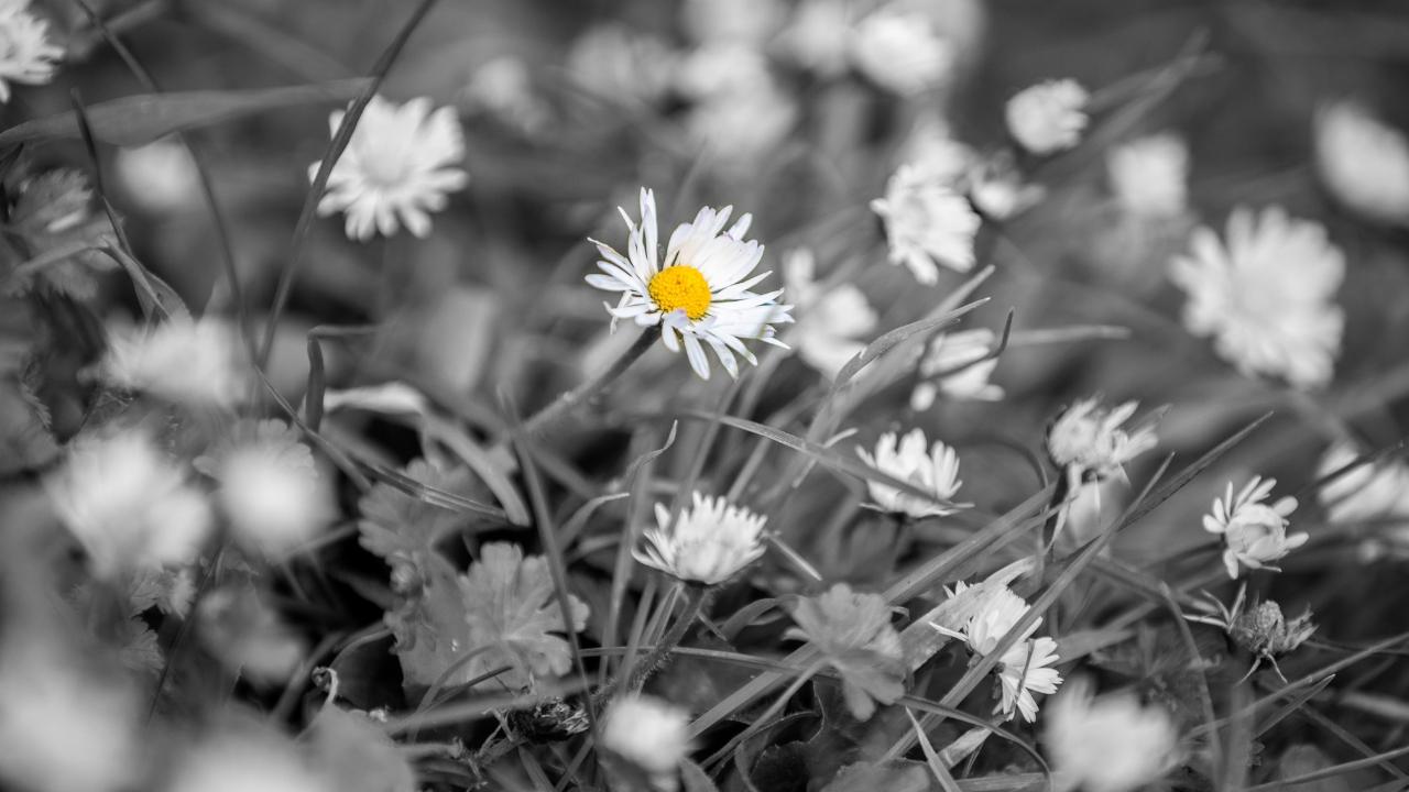 Hope Shayari in Hindi