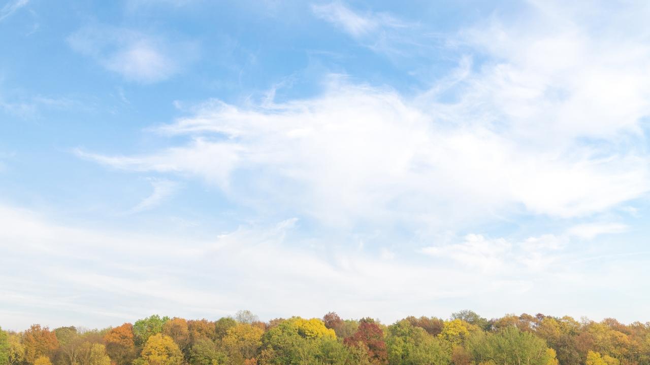 Sanwariya seth quotes