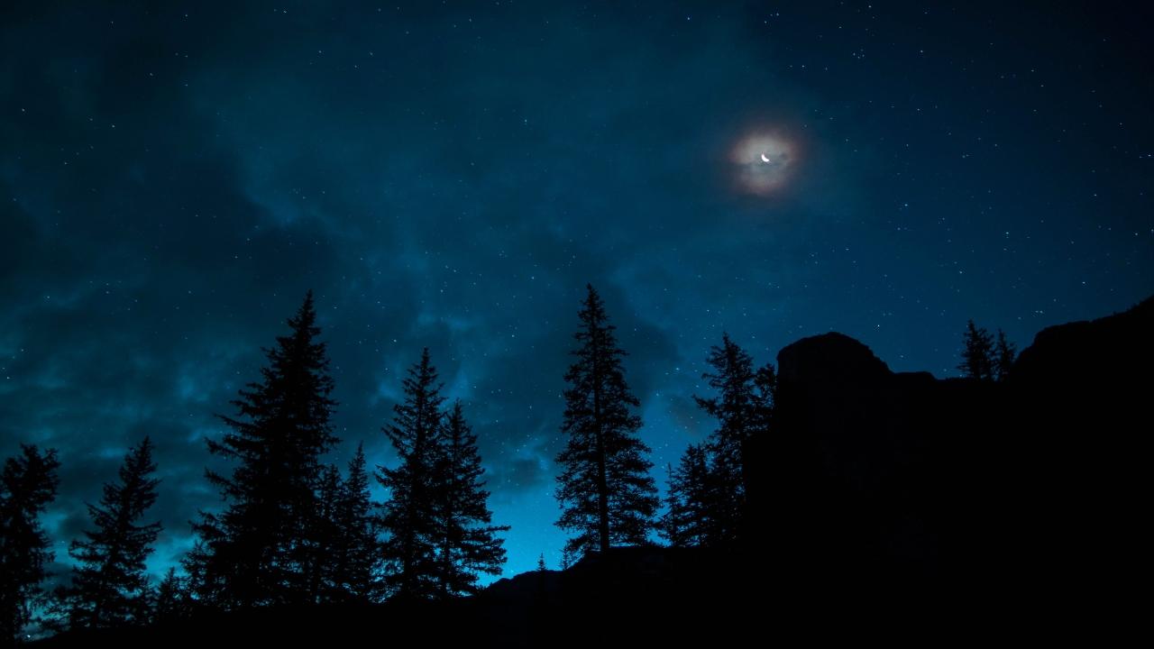 Dark Shayari for Life