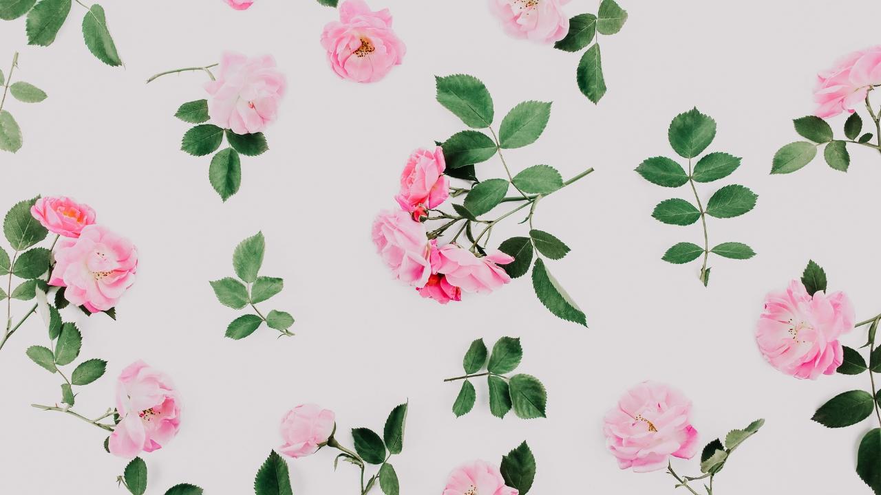 Heart touching shayari copy and paste