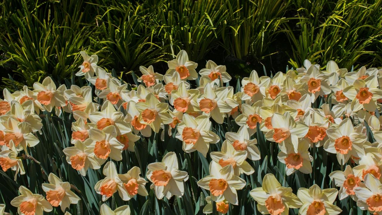 Heart touching shayari for him