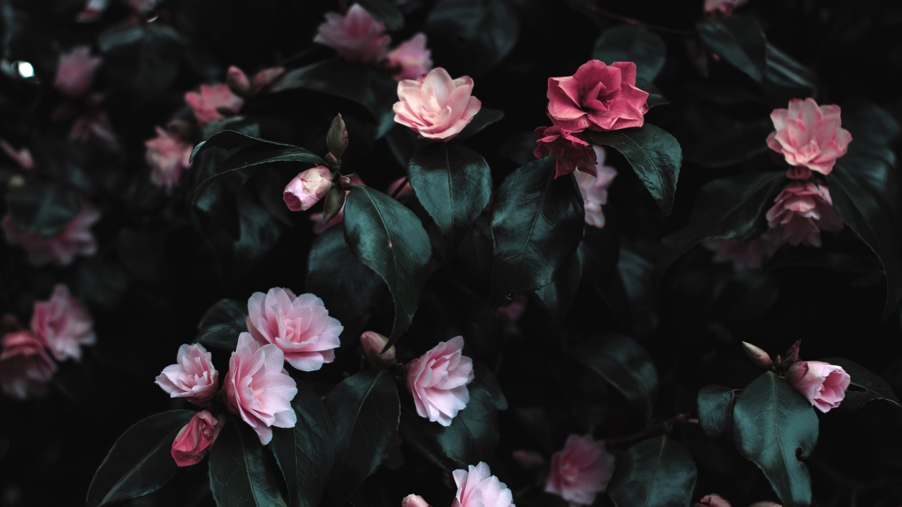 Short heart touching shayari